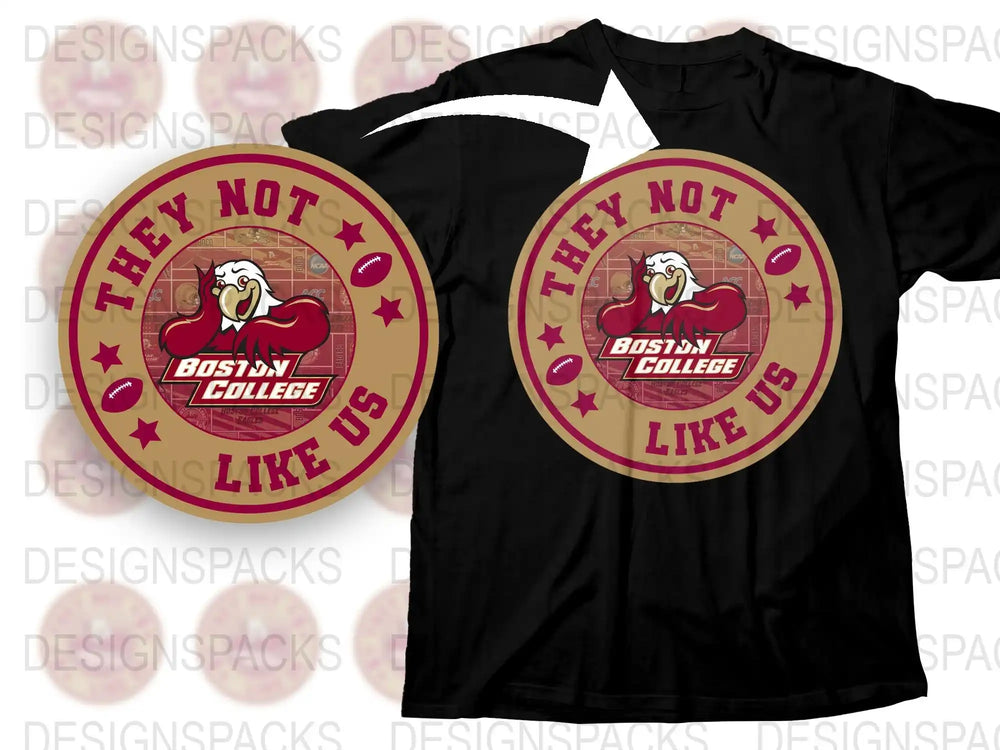 Boston College T-Shirt, 'They Not Like Us' Slogan, Maroon and Gold, College Apparel, Fan Gear, Unisex Tee