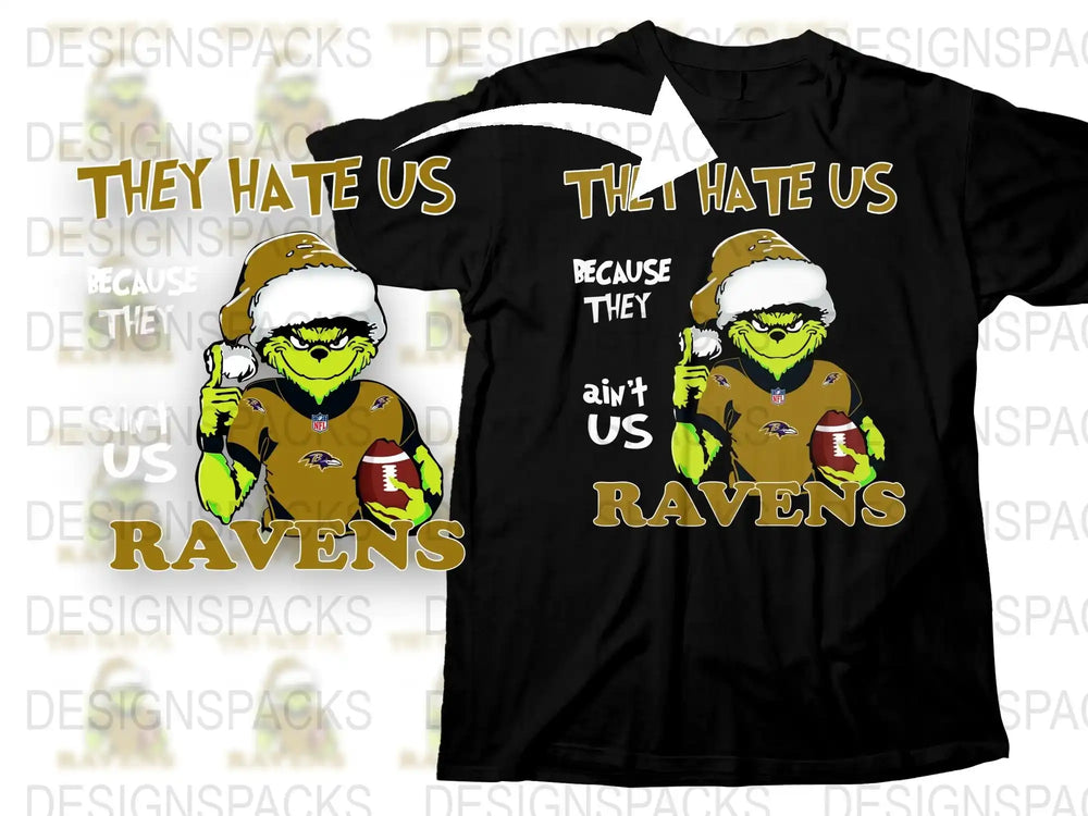 Ravens Football Fan T-Shirt, They Hate Us Because They Ain't Us, Trendy Sports Tee, Gift for Sports Fans