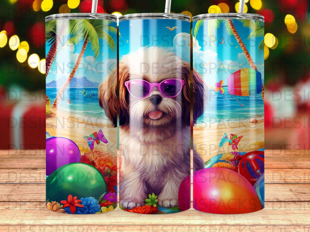 Shih Tzu puppy wearing sunglasses on a beach with beach balls.