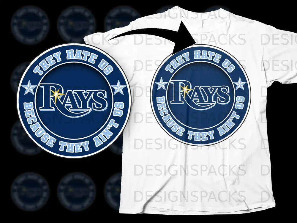 They Hate Us Because They Ain't Us Rays Design Shirt