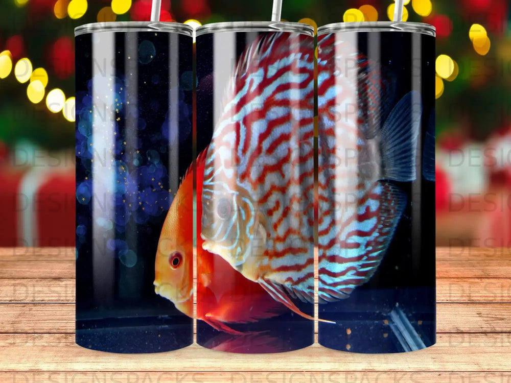 Two colorful discus fish swim in aquarium water, with blurry bokeh lights in the background.