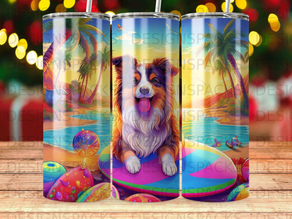 Australian Shepherd dog sitting on a colorful beach ball, surrounded by beach balls.