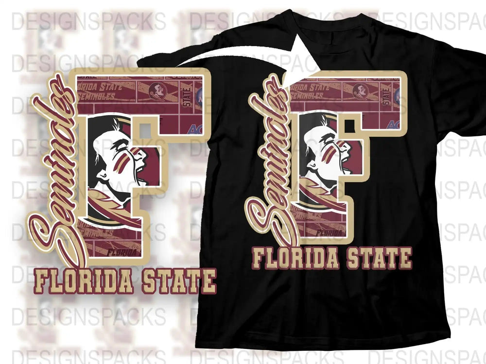 Florida State Seminoles T-Shirt, Vintage NCAA College Sports Fan Apparel, Unisex Graphic Tee