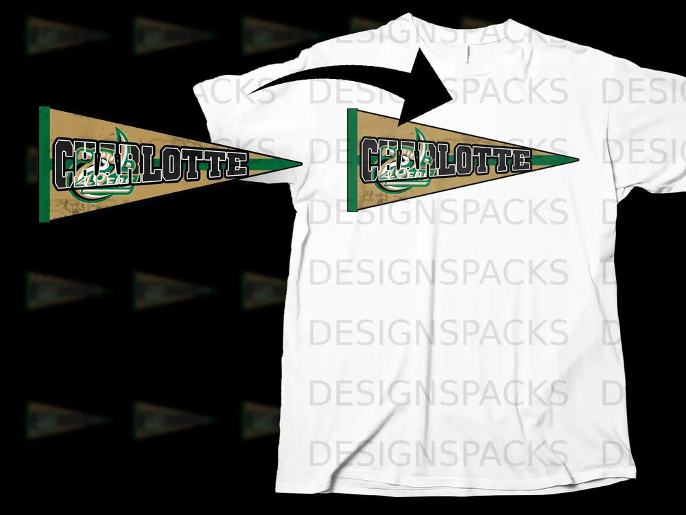 Charlotte 49ers Pennant Flag Graphic Tee Shirt