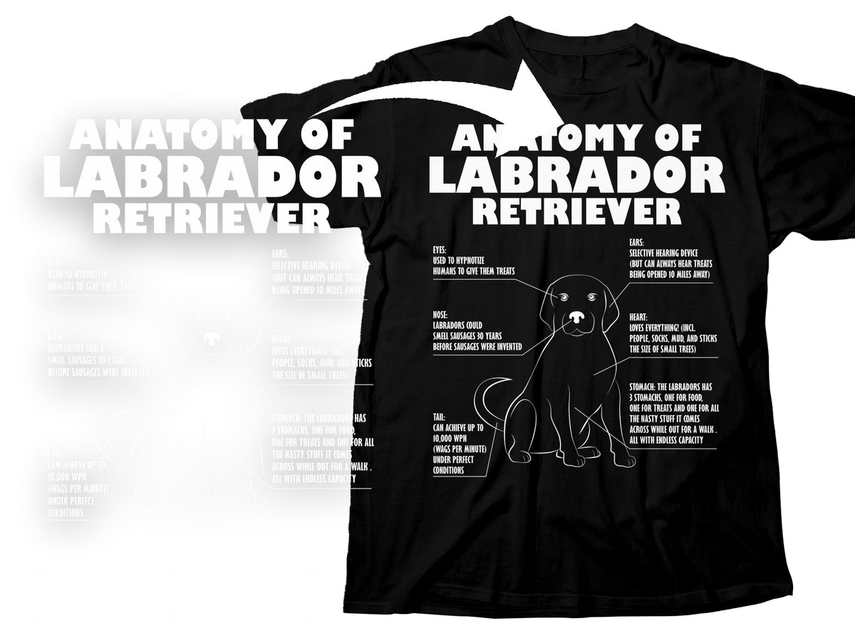 404e35fb-5fa6-4d64-9370-231a344b5560