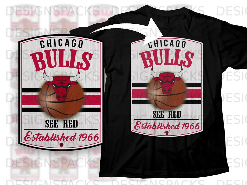 Chicago Bulls See Red Established 1966 T-shirt