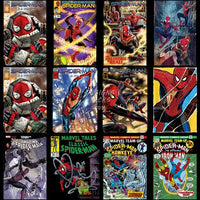 Load image into Gallery viewer, 45 Movie Comics Hero Spider Designs Bundle Png

