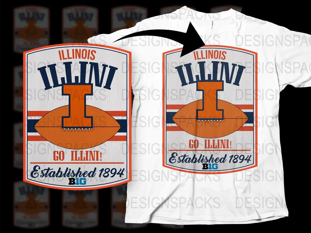 Vintage Illinois T-Shirt, University Logo, Go Illini, Established 1894, College Apparel