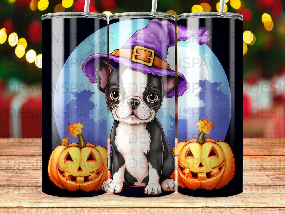 Boston terrier puppy wearing a witch hat between jack-o'-lanterns.