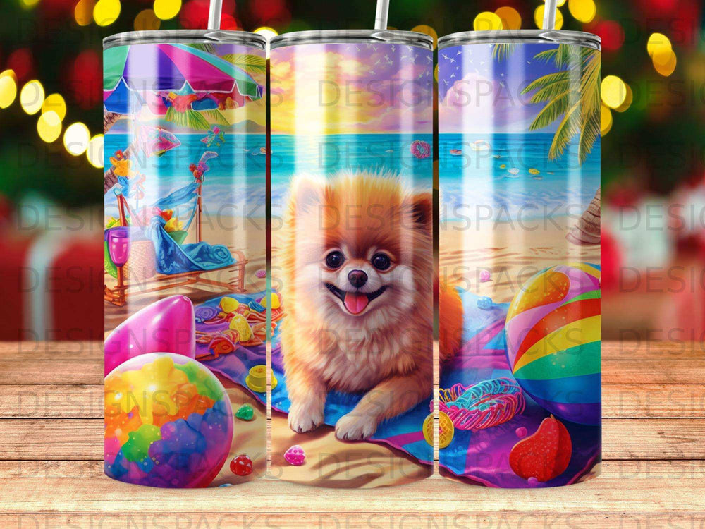 Fluffy dog on beach towel surrounded by toys and beach items.