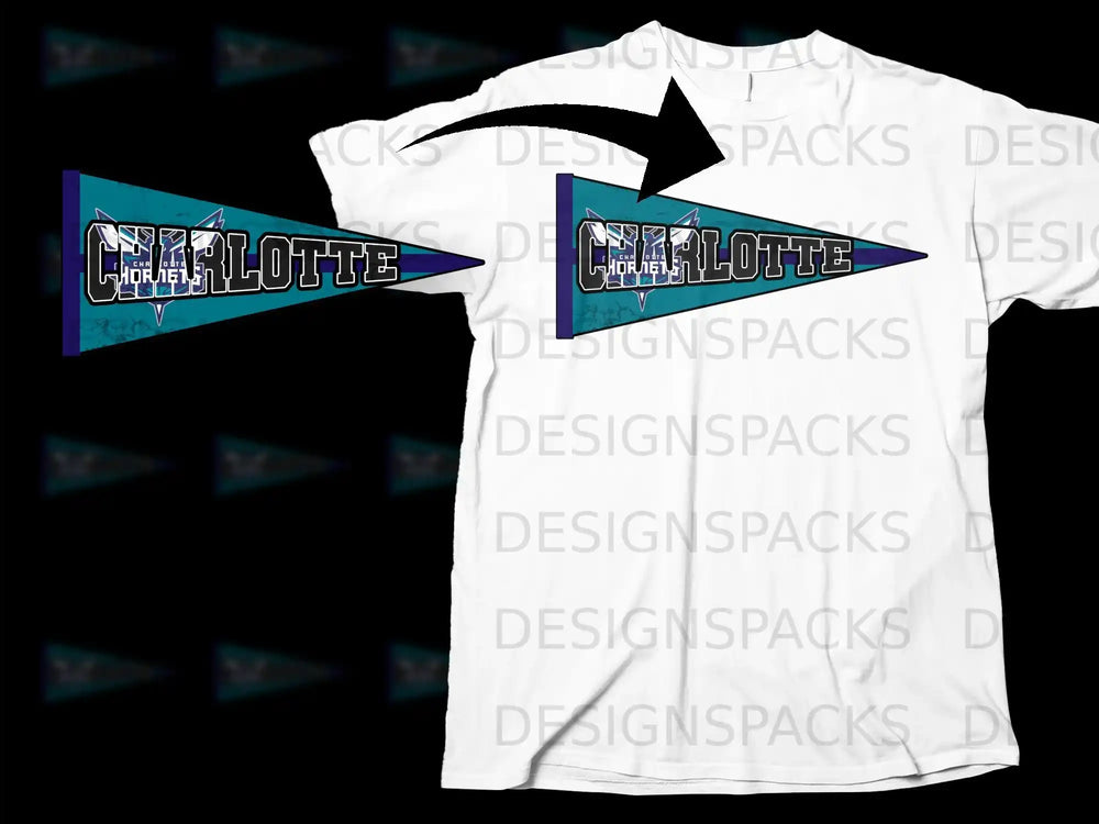 Charlotte Hornets Pennant Flag Graphic T-shirt