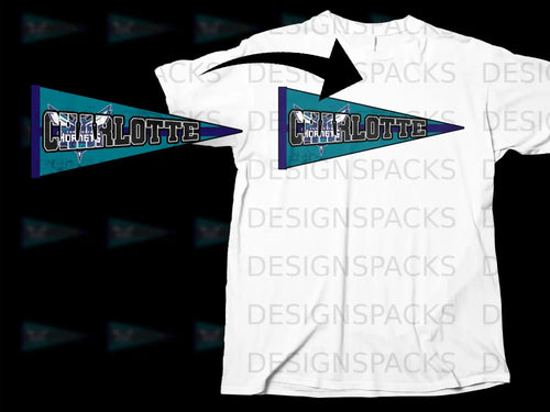 Charlotte Hornets Pennant Flag Graphic T-shirt