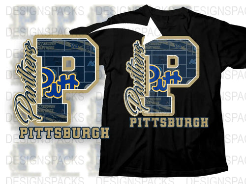 Pittsburgh Panthers Graphic Tee, Vintage Style College Sports Shirt, Unisex T-Shirt
