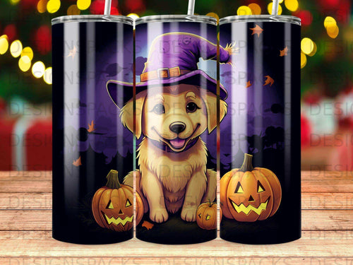 Golden retriever puppy in a witch hat with pumpkins.
