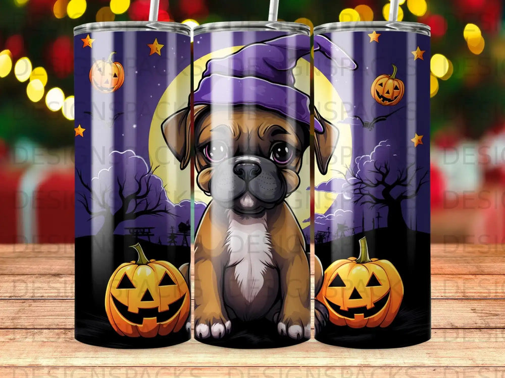 Boxer puppy in witch hat with pumpkins for Halloween.