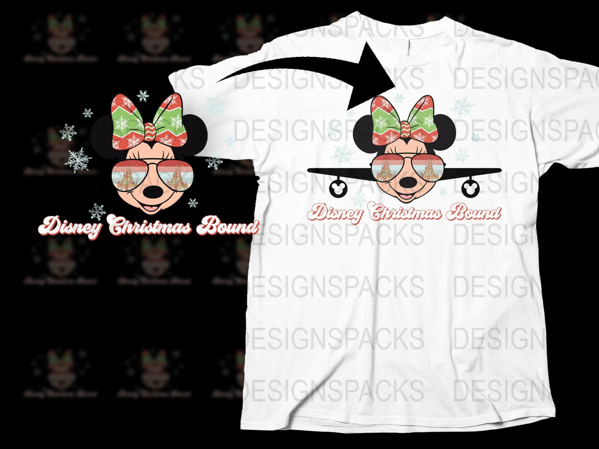 Disney Christmas Bounce T-Shirt, Holiday Disney Family Shirt, Festive Kids and Adults Tee