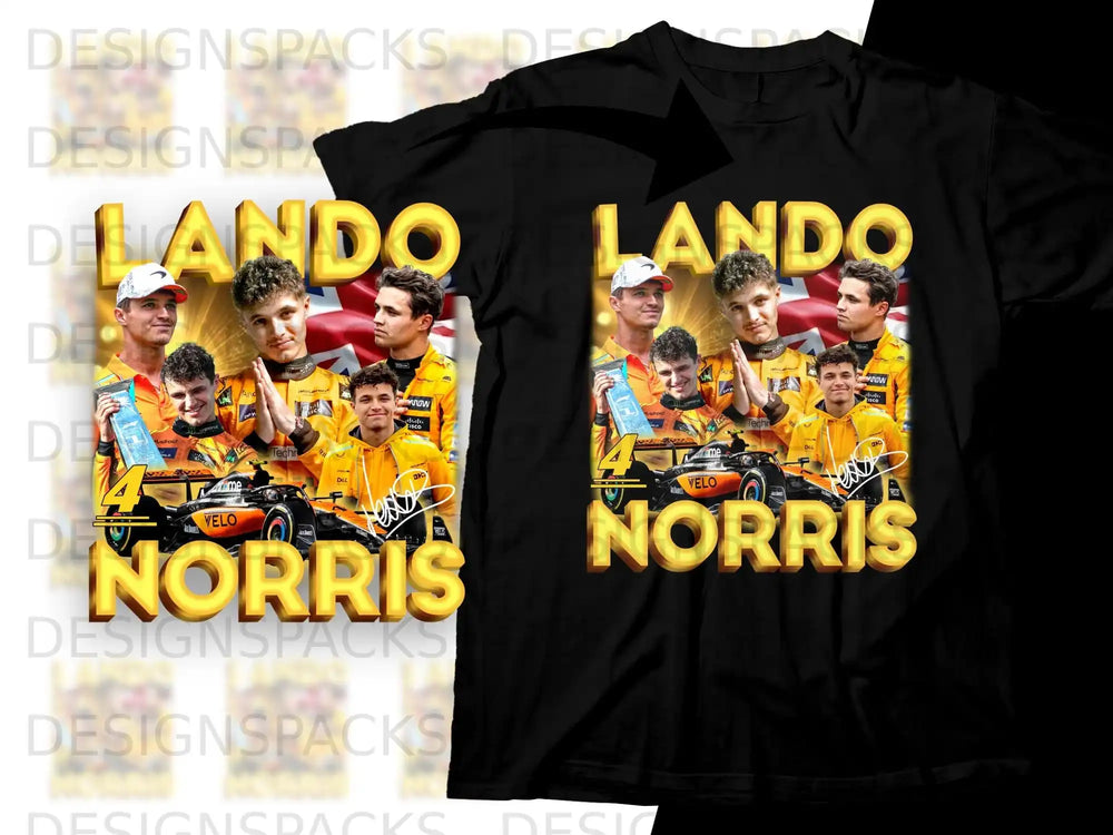 Lando Norris in racing gear with a Formula 1 car and signature.