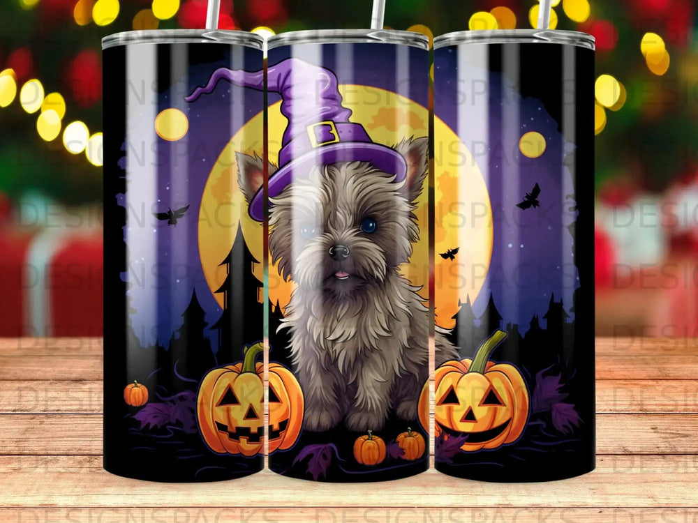Yorkshire terrier in witch hat with pumpkins and moon.