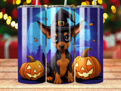 Chihuahua wearing witch hat with pumpkins on blue Halloween background.