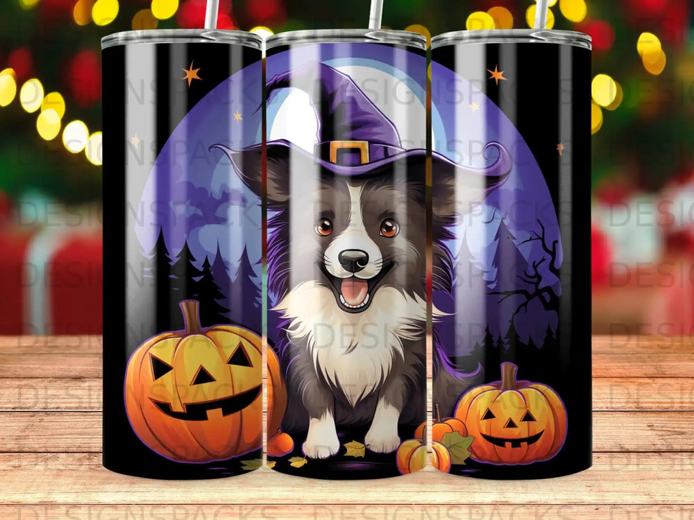 Border collie in witch hat with pumpkins and spooky trees.