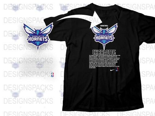 Charlotte Hornets Nike T-Shirt, NBA Team Logo Graphic Tee, Black Sports Shirt, Basketball Fan Apparel