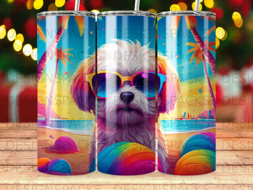 Dog wearing sunglasses on a beach with rainbow accents.