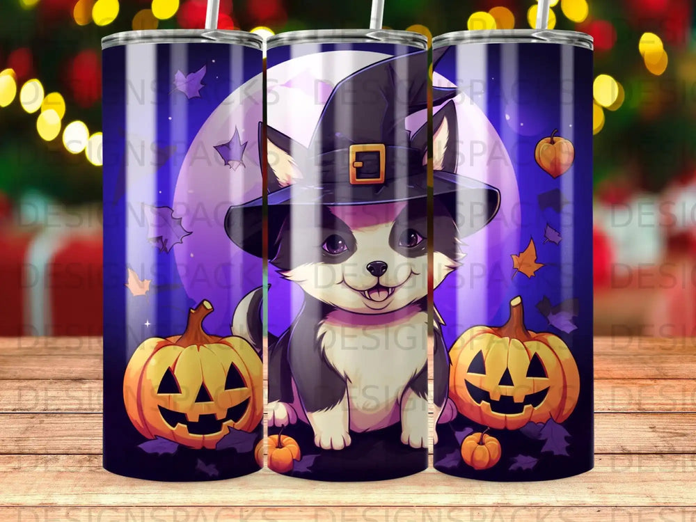 Black and white dog wearing a witch hat with pumpkins and moon.