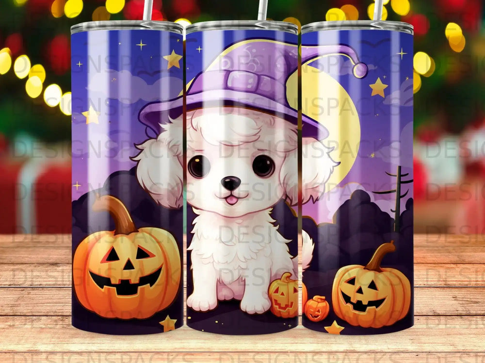 White poodle wearing a witch hat sits with two jack-o'-lanterns.