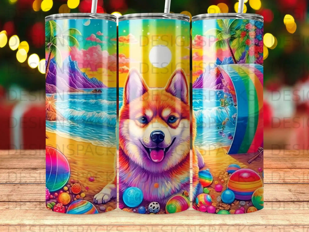 Corbin dog with colorful beach balls and vibrant tropical sunset scene.