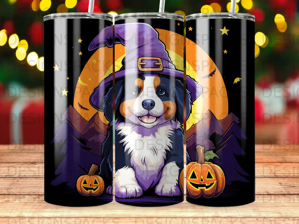 Bernese Mountain Dog in witch hat with pumpkins on Halloween tumbler.