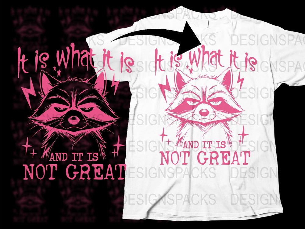 It Is What It Is Raccoon Graphic T-Shirt, Funny Slogan Tee, Unisex White Cotton Shirt