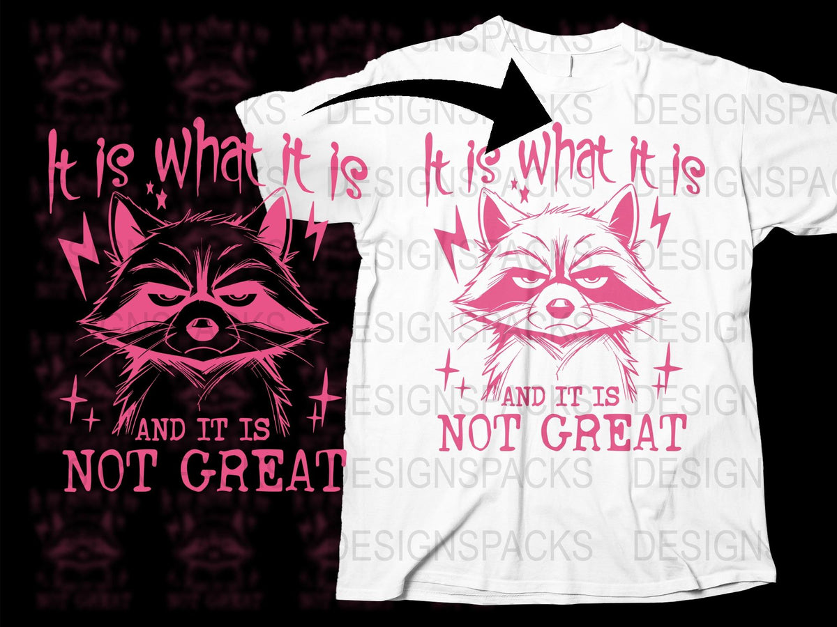 It Is What It Is Raccoon Graphic T-Shirt, Funny Slogan Tee, Unisex White Cotton Shirt