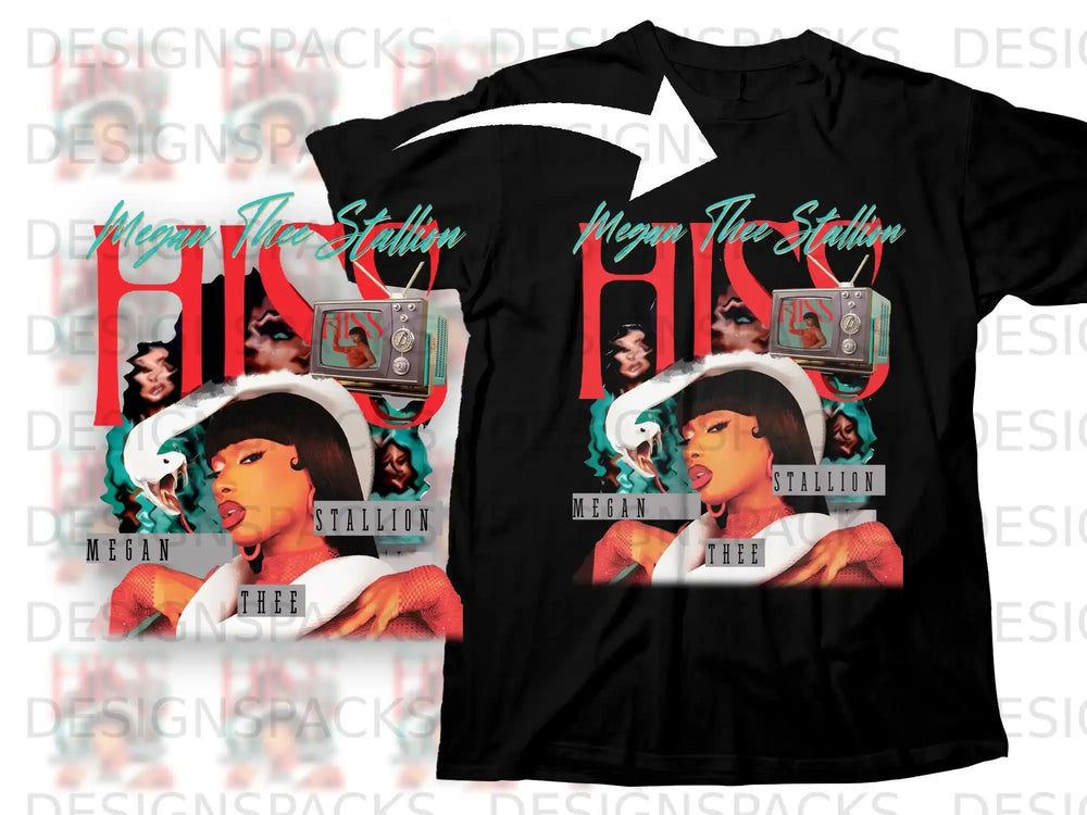 Megan Thee Stallion graphic t-shirt with vintage TV and retro design.