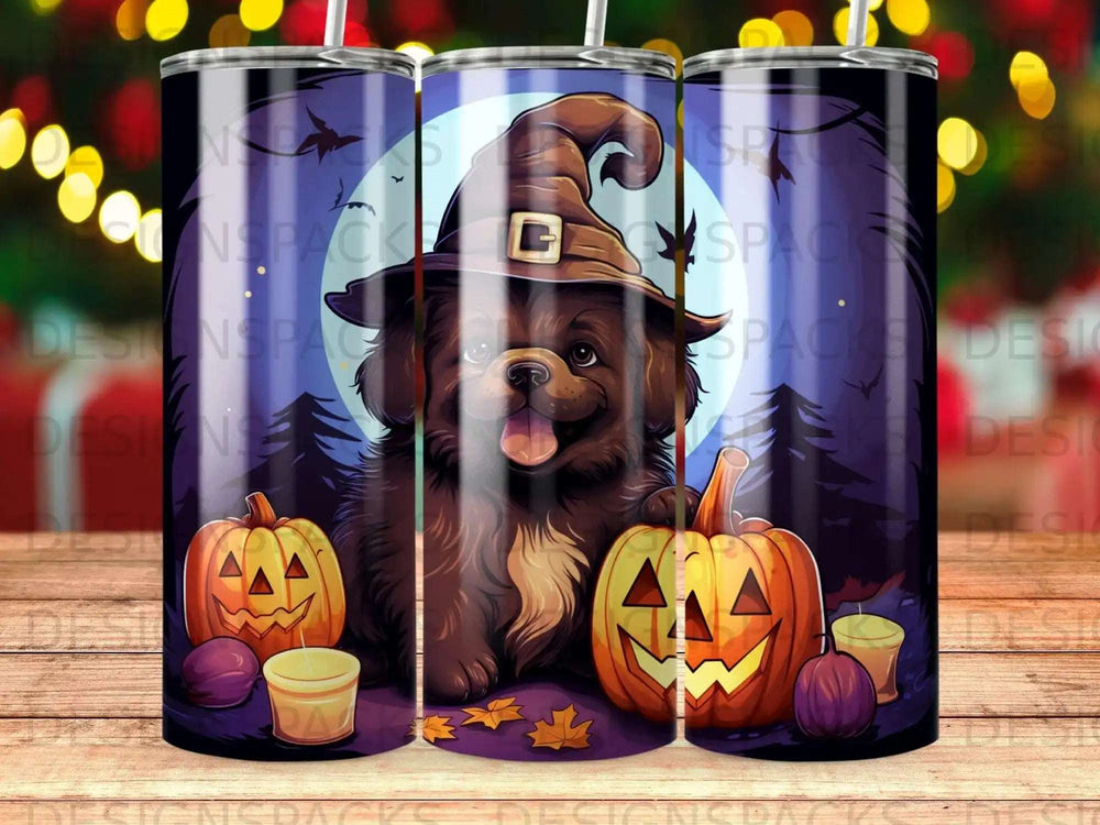 Brown dog in witch hat between two carved pumpkins, Halloween theme.
