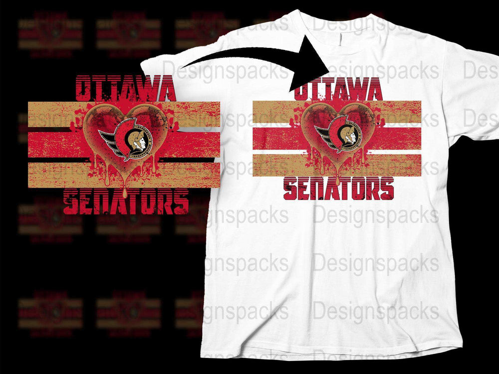 Ottawa Senators Vintage T-Shirt, Distressed Logo, Hockey Fan Apparel, Gift for Sports Fans, Casual Wear