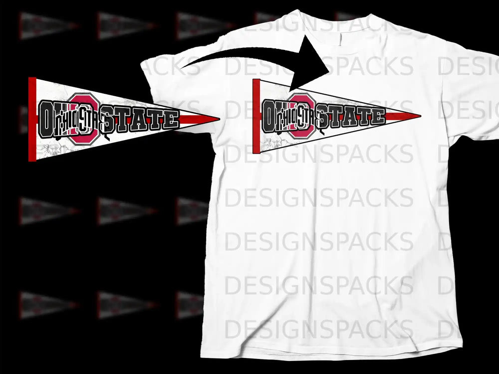 Ohio State Pennant Graphic Tee for Sports Fans