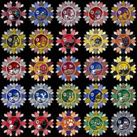 Lade Bild in die Galerieansicht, 128 College NCAA School Helmet Mascot Sunflower Logos PNG Designs Bundle
