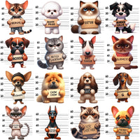Load image into Gallery viewer, 35 Dogs &amp; Cats Jail Mug Shot Designs Bundle PNG
