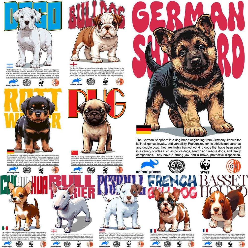 Cute dog breed illustrations with breed names and facts, ideal for DTF, DTG, embroidery designs