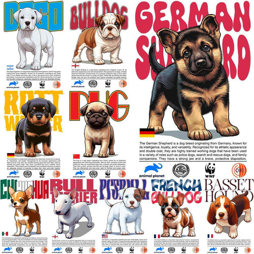 Cute dog breed illustrations with breed names and facts, ideal for DTF, DTG, embroidery designs