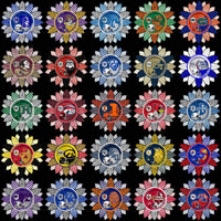 Lade Bild in die Galerieansicht, 128 College NCAA School Helmet Mascot Sunflower Logos PNG Designs Bundle
