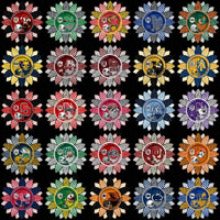 Lade Bild in die Galerieansicht, 128 College NCAA School Helmet Mascot Sunflower Logos PNG Designs Bundle
