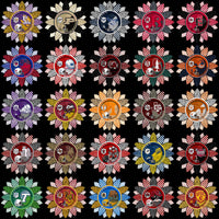 Lade Bild in die Galerieansicht, 128 College NCAA School Helmet Mascot Sunflower Logos PNG Designs Bundle
