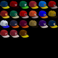 Load image into Gallery viewer, 126 College NCAA Ball Cap PNG Designs Bundle
