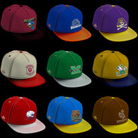 Load image into Gallery viewer, 126 College NCAA Ball Cap PNG Designs Bundle
