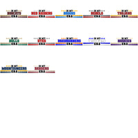 Load image into Gallery viewer, 61 College NCAA Teams In My Team Era Designs Bundle PNG
