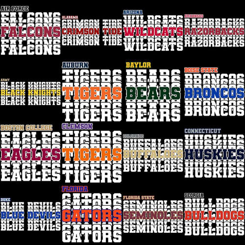 54 College NCAA Teams School Names Designs Bundle PNG