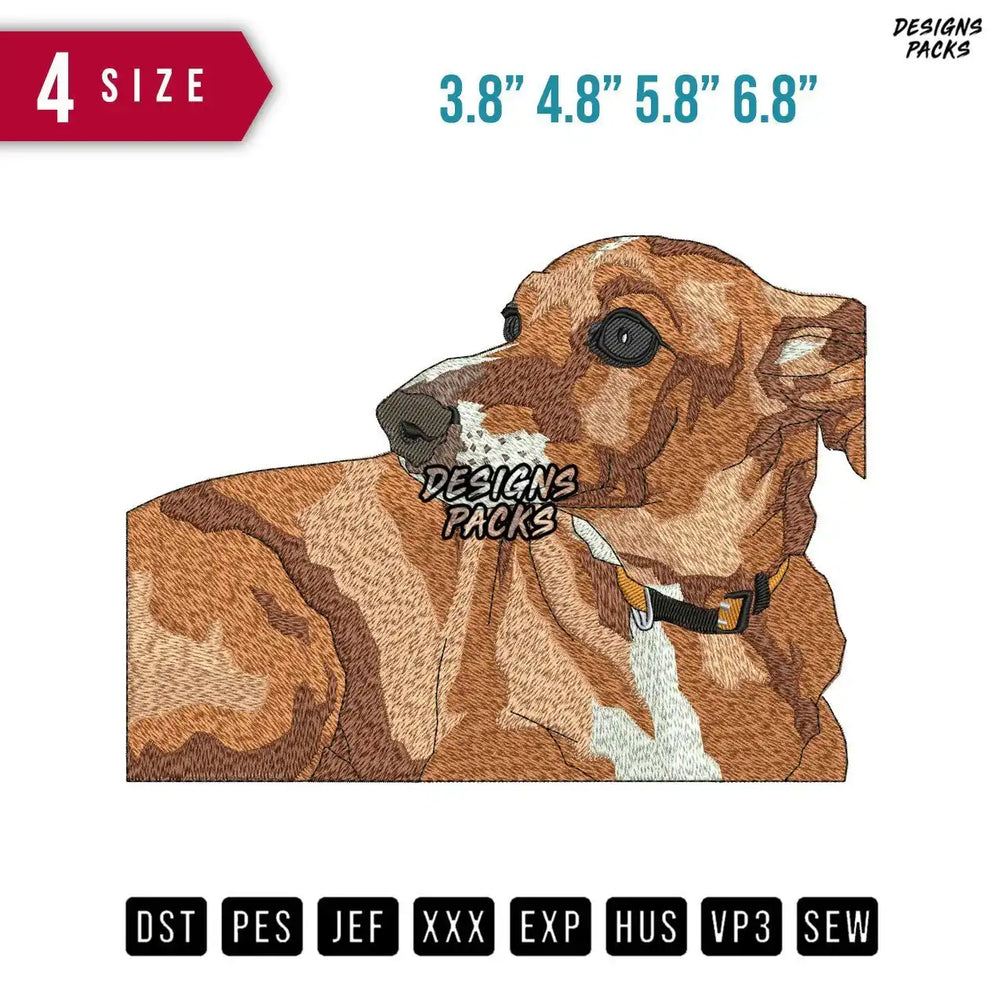 Dog Sit Look Embroidery Design