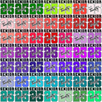 Load image into Gallery viewer, 100 Class Of 2025 Senior Graduation College Designs Bundle PNG
