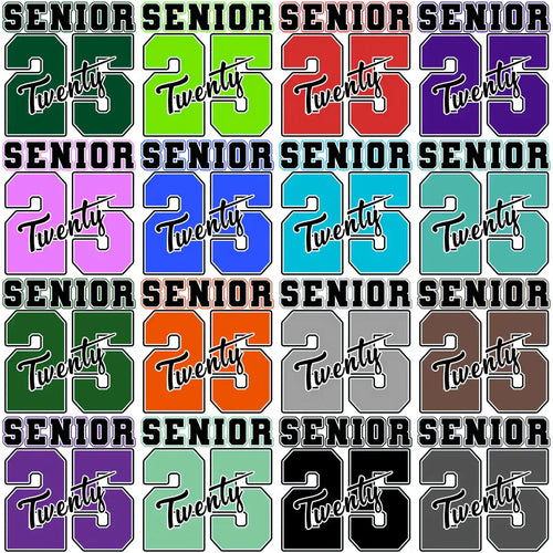 100 Class Of 2025 Senior Graduation College Designs Bundle PNG